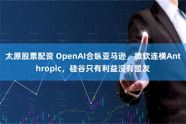 太原股票配資 OpenAI合縱亞馬遜，微軟連橫Anthropic，硅谷只有利益沒有盟友